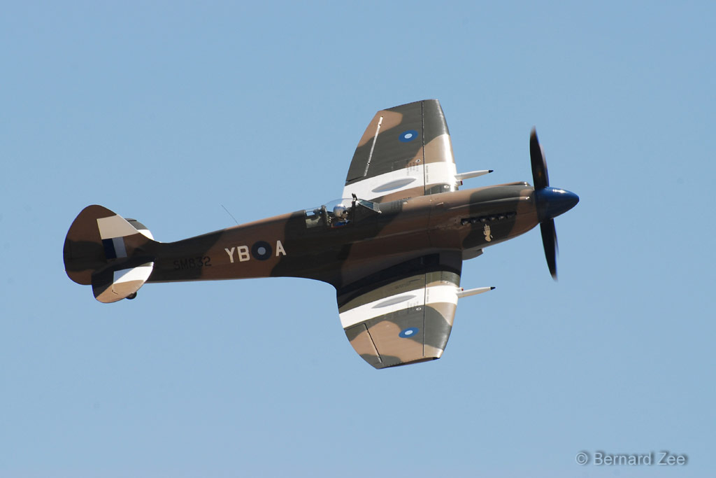 DSZ_9316